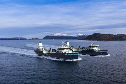Smolt transport wellboats
